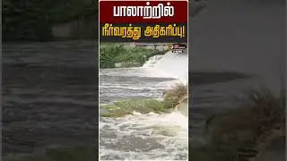 பாலாற்றில் நீர்வரத்து அதிகரிப்பு! | Palar River