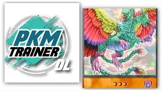 Exhibici&oacute;n: Cyber Dark Union OTK Concept |Yu-Gi-Oh! Duel Links|