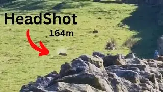 Long Range Hunting With 17HMR & Bolting Rabbits To The Gun