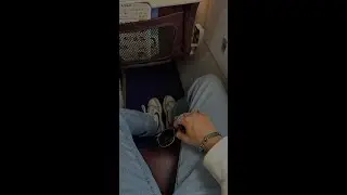 Día 41: Viva aerobús la peor aerolínea.