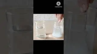 Floating egg experiment @soniscienceworld8056