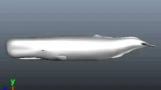FW302 - Whale Swimming Motion - animation Test