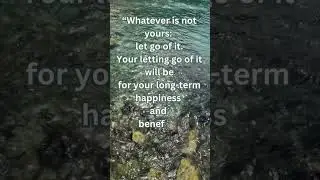 Uplifting and inspiring daily quote Buddha for Life and Love Introspection Power of detachment