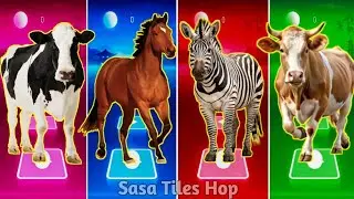 Funny Cow🐄 🆚 Funny Horse🐎 🆚 Funny Zebra🦓 🆚 Funny Bull🐂Tiles Hop EDM Rush🎶 #tileshop​ #coffindance