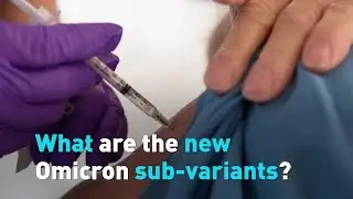What are the new Omicron sub-variants?