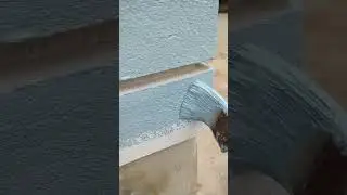Asian paints|| Apex Dust proof || Wether coat || Ass Colour #viral #wall #vira #like