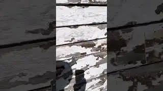 Why not to power wash old lap board siding