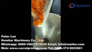 Automatic Carrot Puree Making Machine