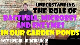 Understanding Bacteria, Microbes, Enzymes In Your Pond