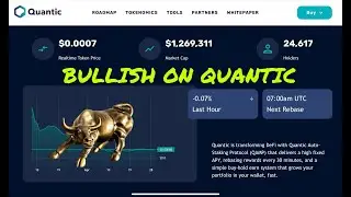 Quantic Finance - BUSD Miner With Automation | Set It and Forget it