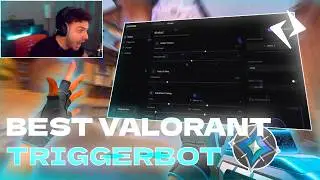 VALORANT COLORBOT & TRIGGERBOT (Setup Guide) How to Get | Synthar