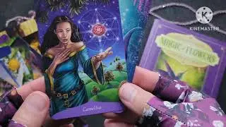 Magic of Flowers Oracle Deck 