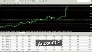 Best Forex Robot expert advisor Trading for 2016   Megaprojectfx live 3 (after news)