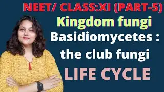 Kingdom Fungi : Life Cycle of Basidiomycetes(Part-5) || Class-11 NEET Biology|| #prabhaclasses