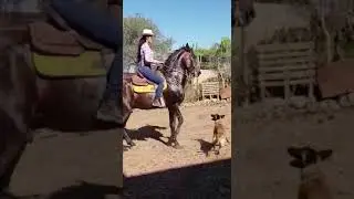 Mi Astro hermoso ❤ Zulema Ferrer despu&eacute;s de 6 meses de recuperaci&oacute;n