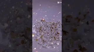 Приготовила попкорн для своих Хомячков🍿🐹 #еда #popcorn #вау #красиво #мило #эстетика #hamsters #love