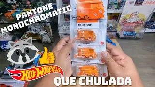 Best kool combi🔥 Hot Wheels 🔥 colores exoticos super 🦝👍 pantone series unboxing 