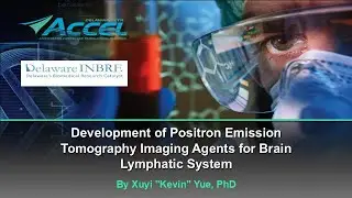 Development of Positron Emission Tomography Imaging Agents for Brain Lymphatic System