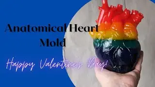 *HUGE* Anatomical Heart Mold by Let's Resin