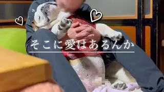 【見納め】一年分の愛を確かめ合うじいちゃん達