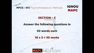 2022 - Psychotherapeutic Methods - MPCE - 013 - Assignment Motivator