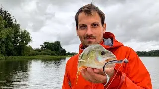 BISS auf BISS- Wir angeln am See auf BARSCH| Streetstyle Fishing