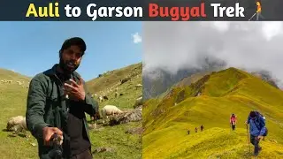 Auli to Garson Bugyal Trek | one of best trek in auli
