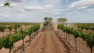Arado viñedo 2021