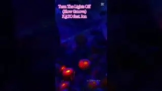 Turn The Lights Off [Slow Groove] &ndash; KATO feat  Jon