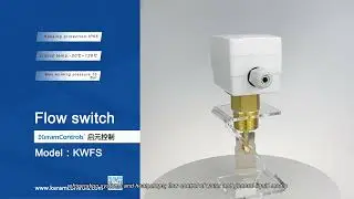 Liquid Flow Measurement Flow Switches With Paddle Sensing Element -20C-120C Temperature Range