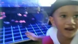 we visit Ocean Pet Shop 🐠🐟🦭🦈