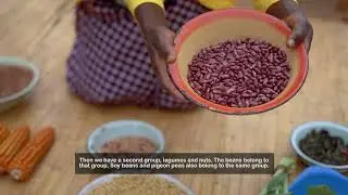 Food Budgeting video (Chichewa)