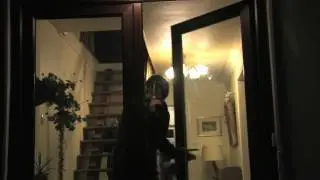 Mind control frog