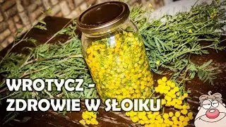 Wrotycz Pospolity - zdrowotna nalewka NIE DO PICIA :)