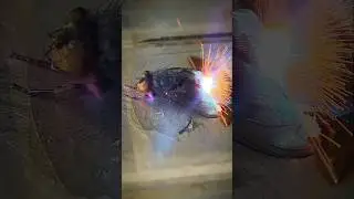 Fly VS Laser