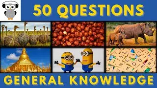 General Knowledge Quiz Trivia #83 | Ostrich, Hazelnut, Rhino, Myanmar, Minion, Scrabble