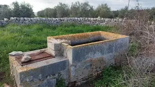 КТО ВСЕ СТРОИЛ И КОМУ⁉️ СОДОМСКОЕ ЯБЛОКО.