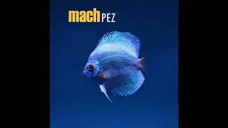MACH &ndash; Pez