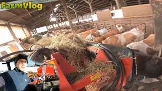 F&uuml;ttern| Stallarbeit Teil 2 | Zenz Silokamm