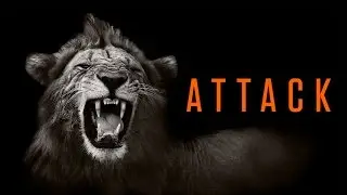 Grant Cardone Quote - (Time to Retreat)