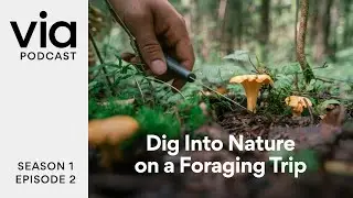 Dig Into Nature on a Foraging Trip with Maria Finn | Via Podcast