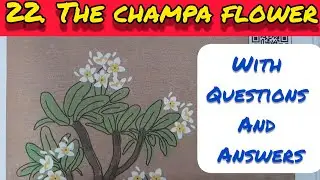 4th Std - English - Chapter 22 The Champa flower with questions answers in hindi - Maharashtra board
