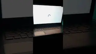 making tricolor using coding | python turtle animation 🇮🇳🇮🇳🇮🇳🇮🇳
