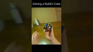 Rubik's Cube Dog #Shorts