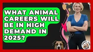 What Animal Careers Will Be in High Demand in 2025? | Animal Care Jobs