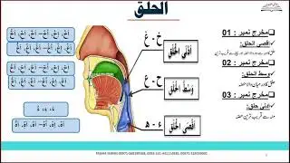 Haroof e Halqi || Throat Letters ||Makhraj Halaq-Throat Tajweed ||HAMZA & HAA || Halqi Makharij