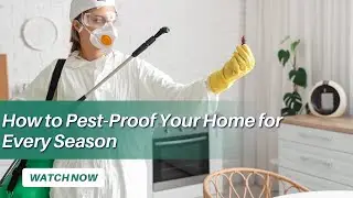 How to Pest-Proof Your Home for Every Season