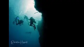 bunaken wall diving - kampong muka
