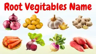 Root Vegetables Name in Hindi | जमीन में पैदा होने वाली सब्जियों के नाम
