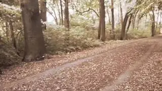 Die vergessenen Orte der Sch&ouml;nholzer Heide. Bormann pankowerchronik